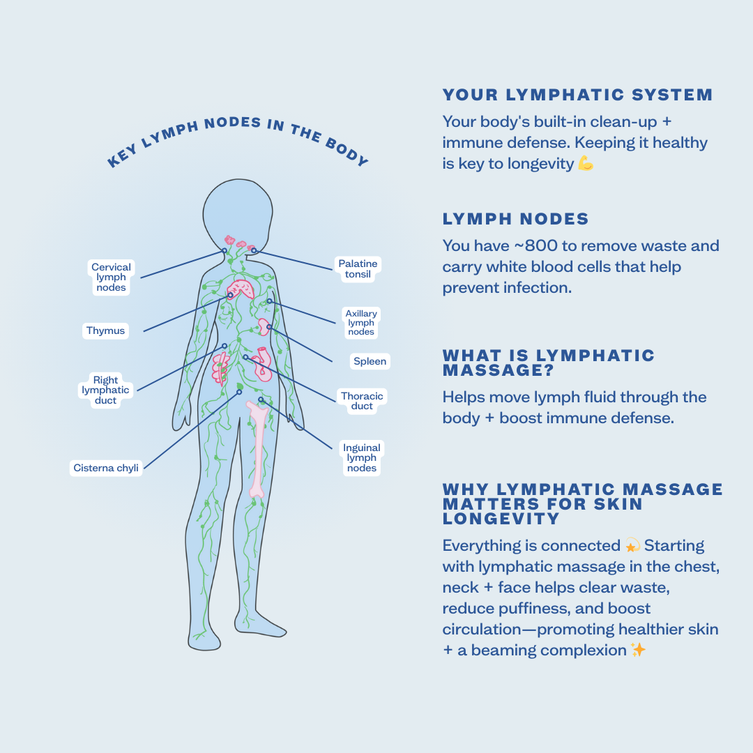 Diagram of the lymphatic system with labeled parts and text about lymphatic massage on a light blue background.