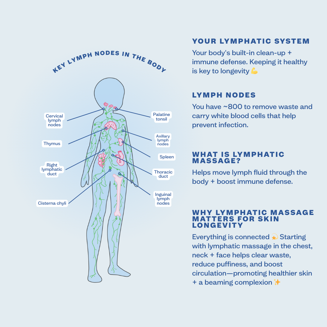 Diagram of the lymphatic system with labeled parts and text on a light blue background
