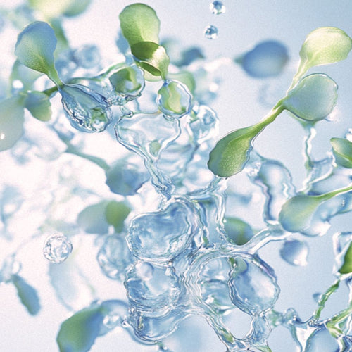 Translucent blue bubbles intertwined with small green leaves.