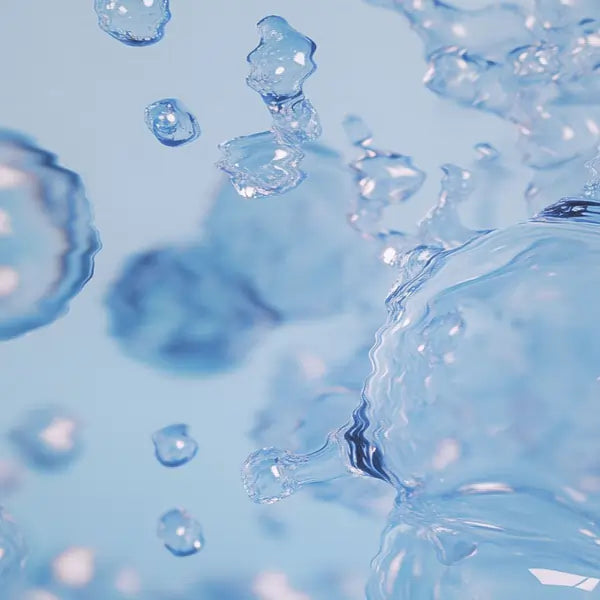Close-up of a green plant with water droplets.